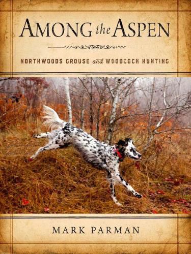 Cover image for Among the Aspen: Northwoods Grouse and Woodcock Hunting