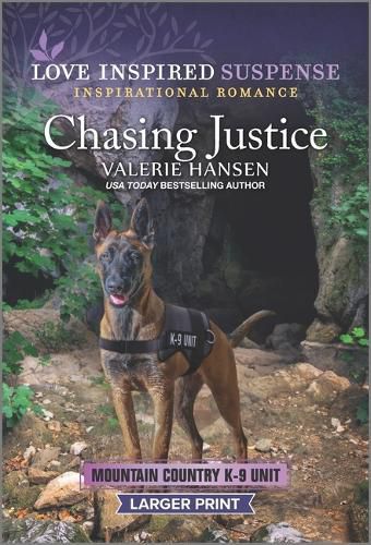 Cover image for Chasing Justice