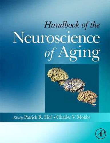 Cover image for Handbook of the Neuroscience of Aging