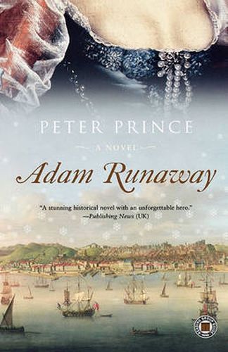 Cover image for Adam Runaway