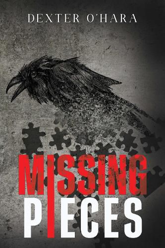 Cover image for Missing Pieces