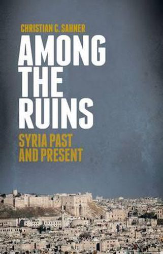 Cover image for Among the Ruins: Syria Past and Present