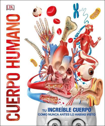 Cover image for Cuerpo Humano