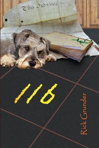 Cover image for 116