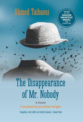 Cover image for The Disappearance of Mr. Nobody