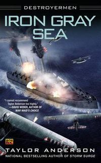 Cover image for Iron Gray Sea: Destroyermen