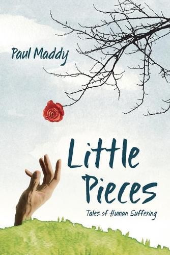 Cover image for Little Pieces: Tales of Human Suffering