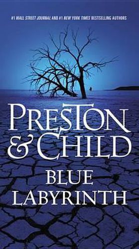 Cover image for Blue Labyrinth