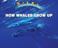 Cover image for How Whales Grow Up