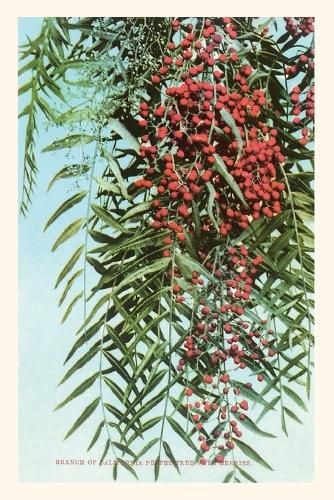 Cover image for The Vintage Journal California Pepper Berries