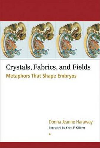 Crystals, Fabrics and Fields: Metaphors That Shape Embryos