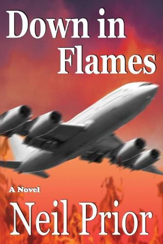 Cover image for Down in Flames