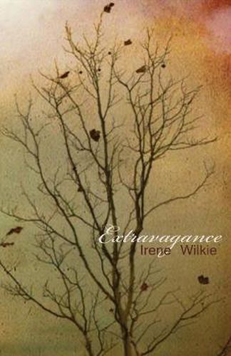 Cover image for Extravagance