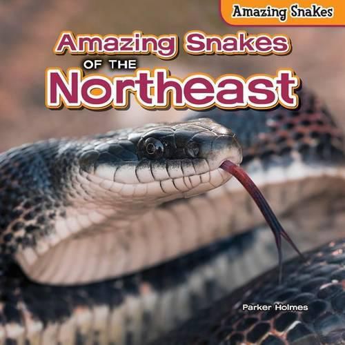 Amazing Snakes of the Northeast