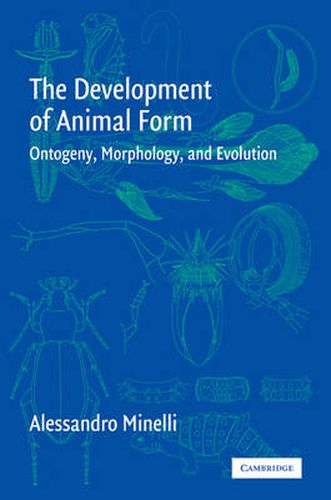 Cover image for The Development of Animal Form: Ontogeny, Morphology, and Evolution