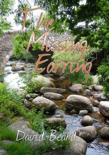 Cover image for The Missing Earring