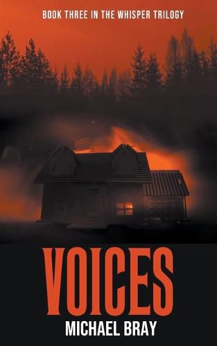 Cover image for Voices