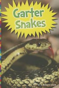 Cover image for Garter Snakes