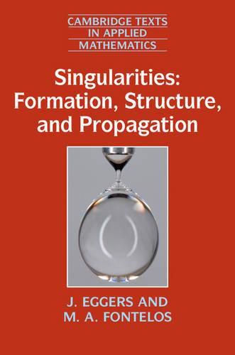 Singularities: Formation, Structure, and Propagation