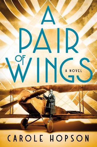 Cover image for A Pair of Wings