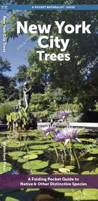 Cover image for New York City Trees: A Folding Pocket Guide to Familiar Plants