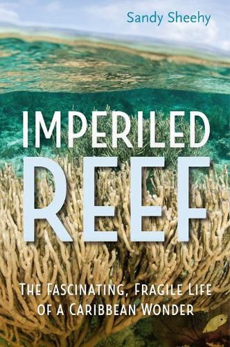 Cover image for Imperiled Reef: The Fascinating, Fragile Life of a Caribbean Wonder