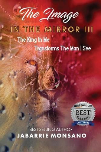 Cover image for The Image in the Mirror III