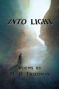 Cover image for Into Light