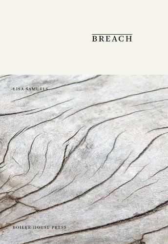 Breach