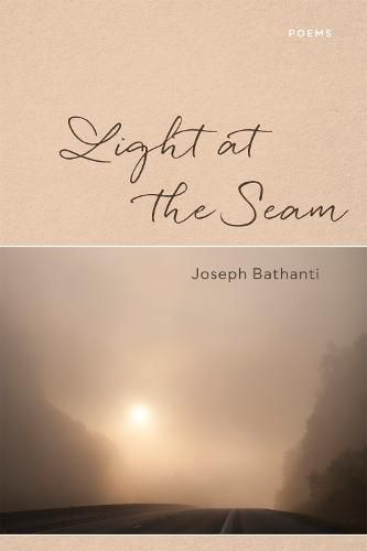 Cover image for Light at the Seam: Poems