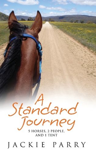 Cover image for A Standard Journey