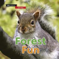 Cover image for Forest Fun