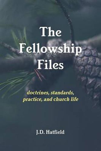 Cover image for The Fellowship Files