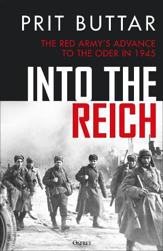 Cover image for Into the Reich