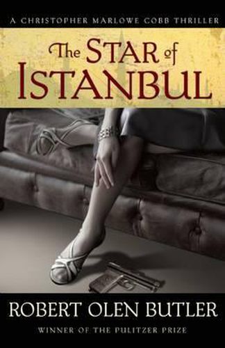 Cover image for The Star of Istanbul