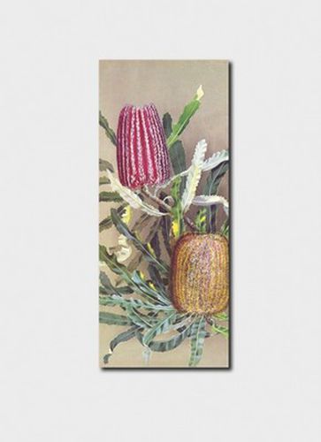 Cover image for BM 0056 Ellis Rowan Bookmark: Banksia