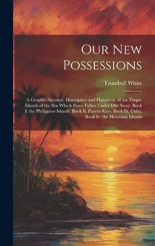 Cover image for Our New Possessions