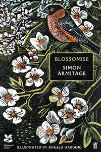 Cover image for Blossomise