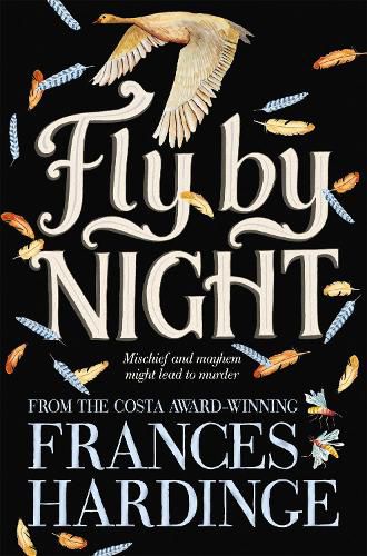 Cover image for Fly By Night