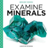 Cover image for Examine Minerals