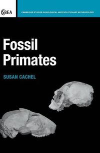 Cover image for Fossil Primates