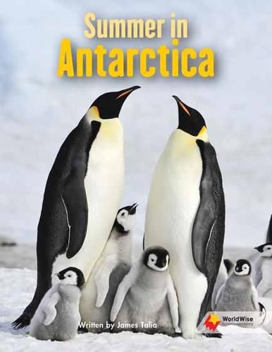 Cover image for Summer in Antarctica