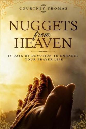 Cover image for Nuggets from Heaven