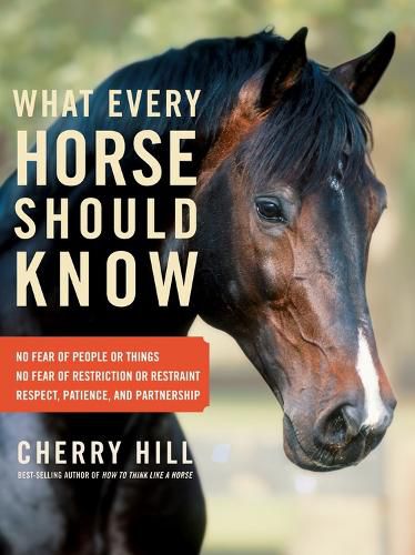 Cover image for What Every Horse Should Know