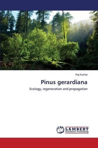 Cover image for Pinus gerardiana