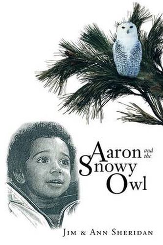 Cover image for Aaron and the Snowy Owl