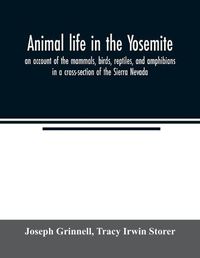 Cover image for Animal life in the Yosemite; an account of the mammals, birds, reptiles, and amphibians in a cross-section of the Sierra Nevada