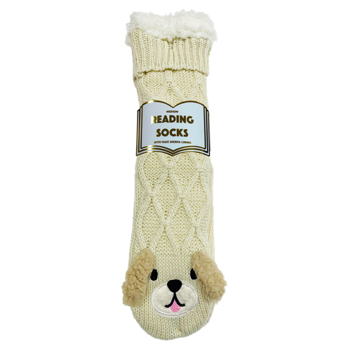 Cover image for Reading Socks - Labrador