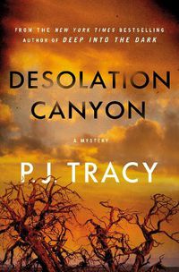 Cover image for Desolation Canyon: A Mystery