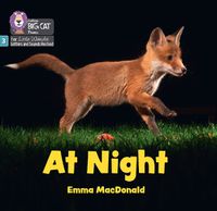 Cover image for At Night